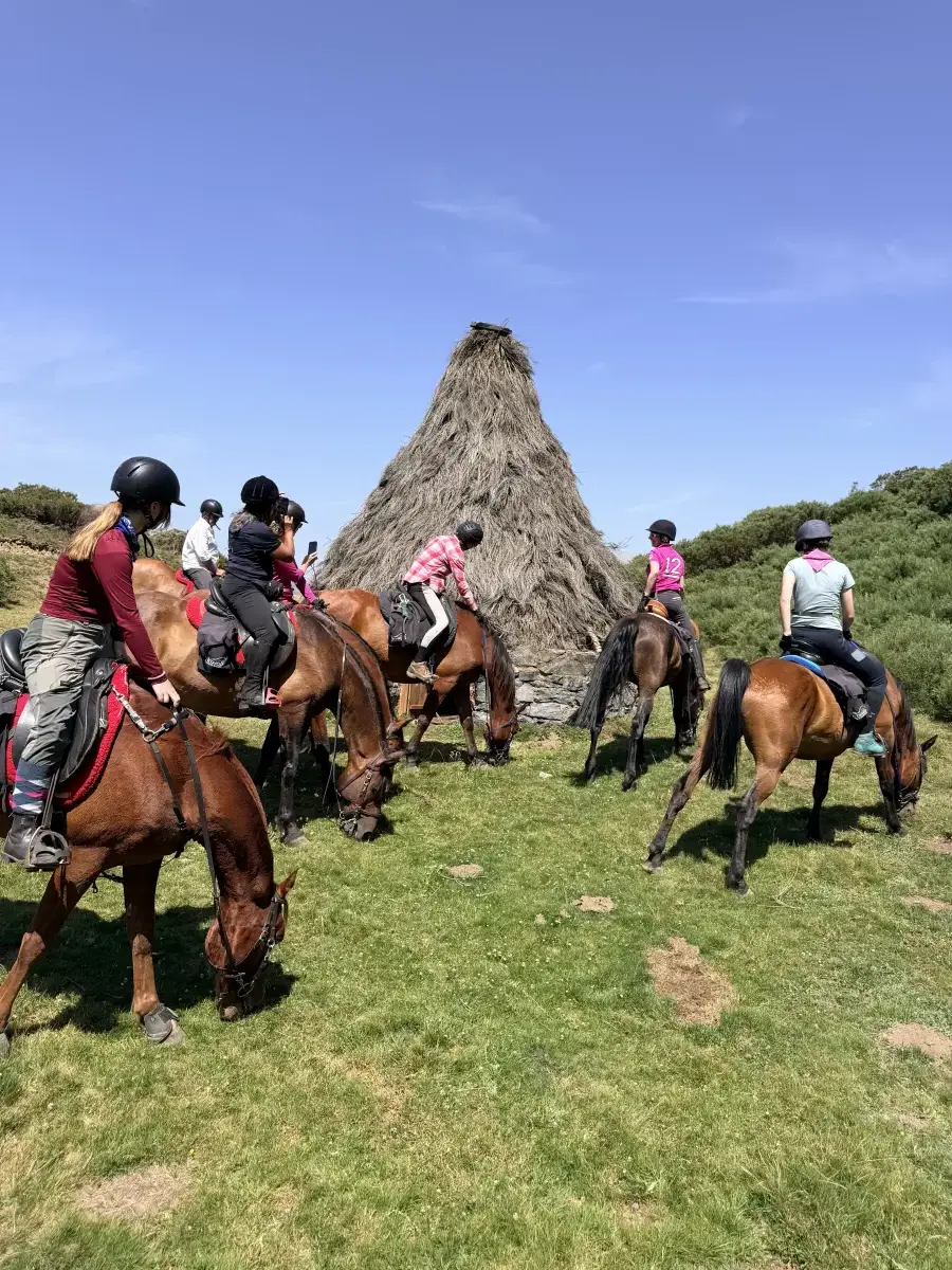 Expediciones a caballo